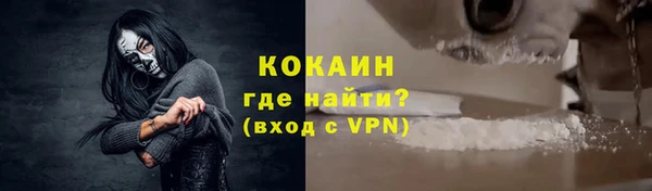 мдпв Богородицк