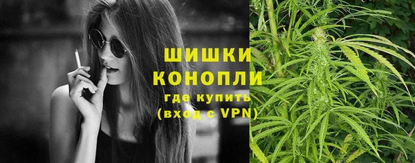 мдпв Богородицк