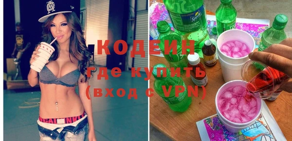 мдпв Богородицк