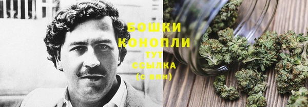 спайс Богородск