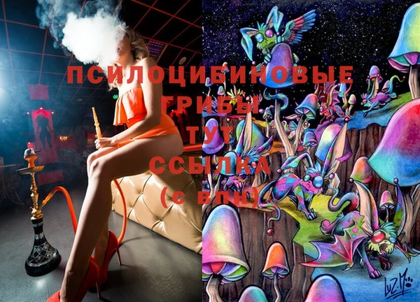 спайс Богородск