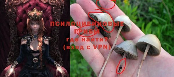 МДМА Белокуриха