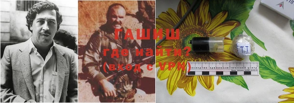 мдпв Богородицк