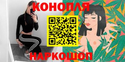 стаф Краснодар