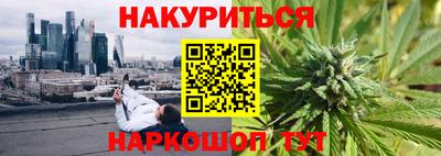 стаф Краснодар