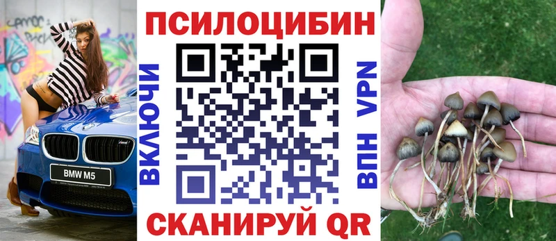 кракен зеркало  Буйнакск  Псилоцибиновые грибы мицелий 