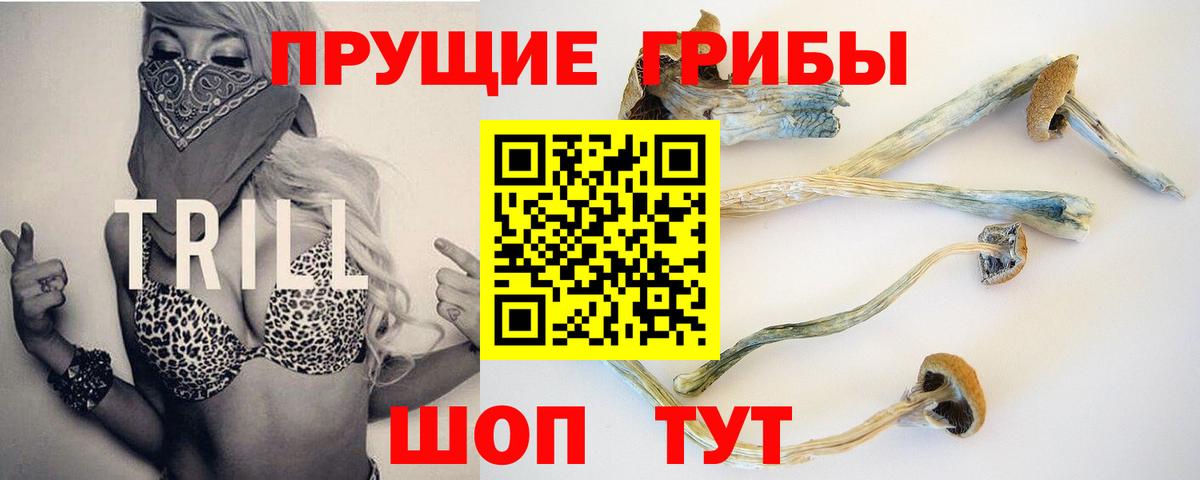 Буйнакск  Галлюциногенные грибы Magic Shrooms  Вход с VPN 